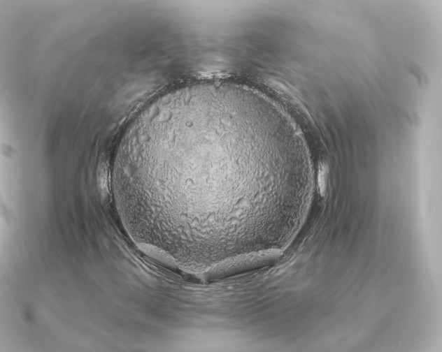 X0000091341444200708101435