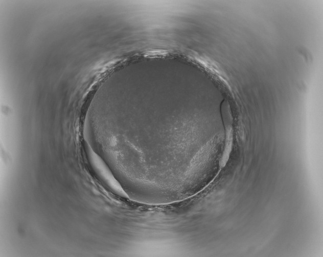 X0000091341445200708101435