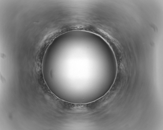 X0000091341447200708101435