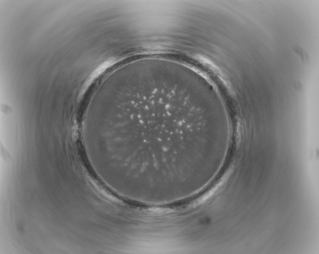 X0000091341449200708101435