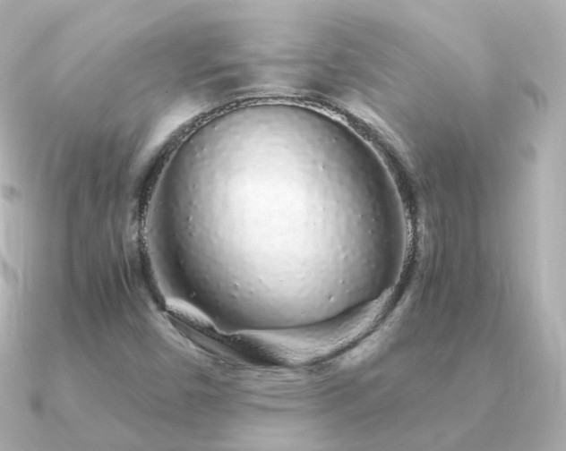 X0000091341450200708101435