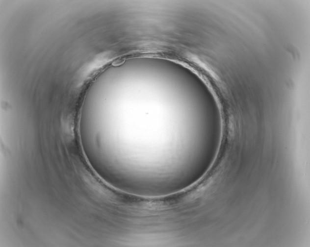 X0000091341451200708101435