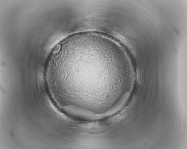 X0000091341452200708101435