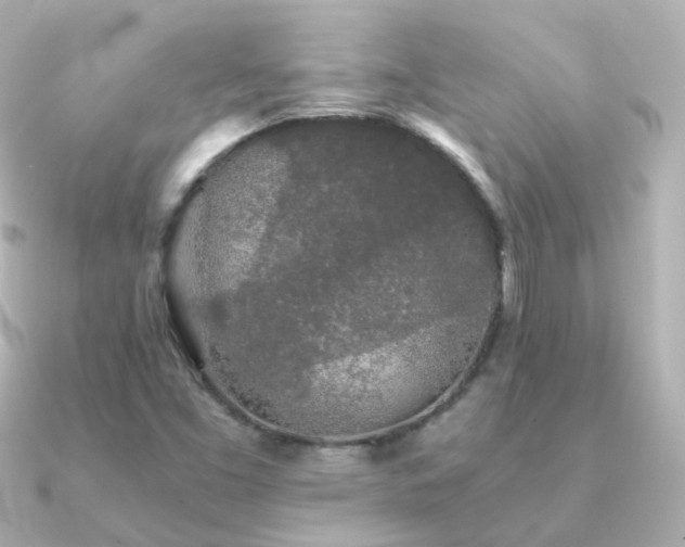 X0000091341453200708101435
