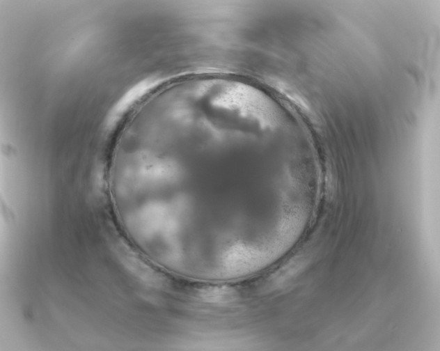 X0000091341454200708101435