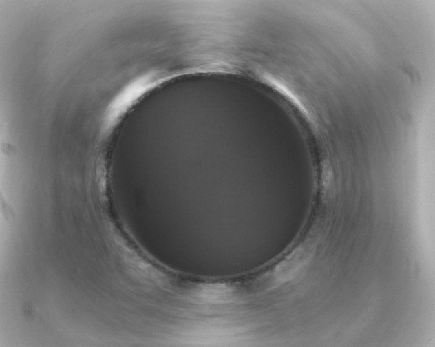 X0000091341455200708101435