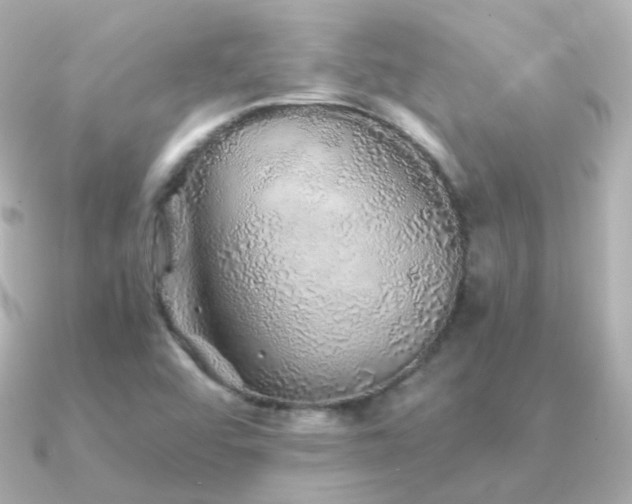 X0000091341456200708101435