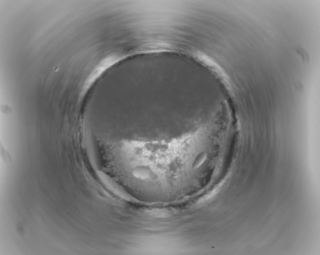 X0000091341457200708101435