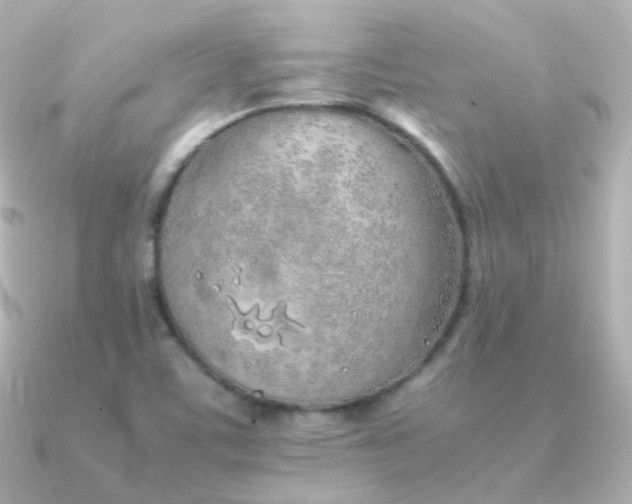 X0000091341459200708101435