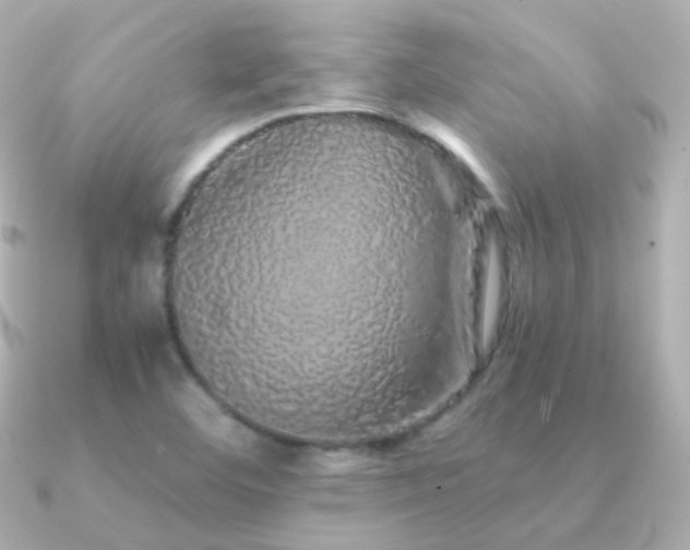 X0000091341460200708101435