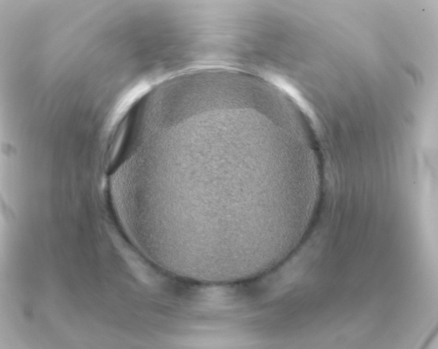 X0000091341461200708101435