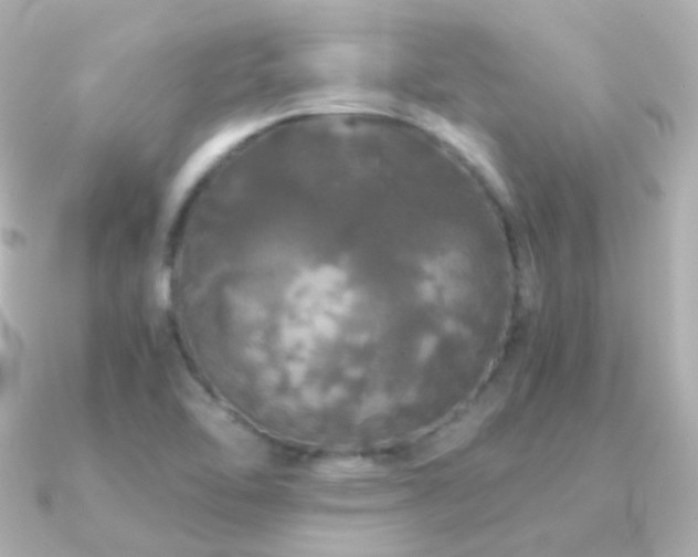 X0000091341462200708101435