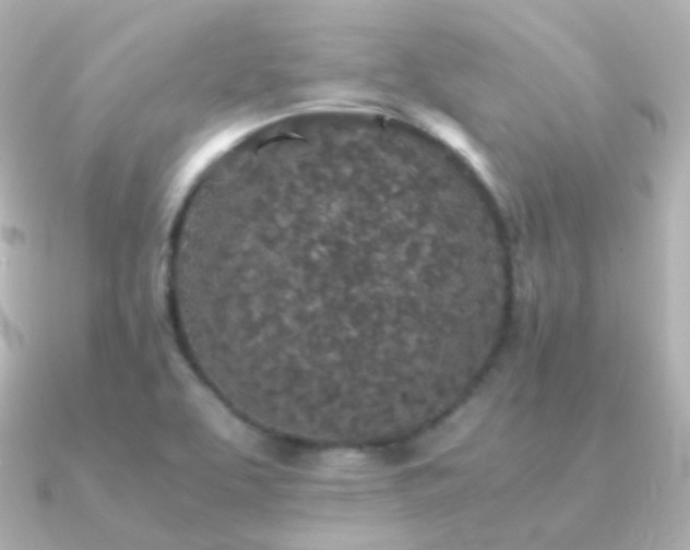 X0000091341463200708101435