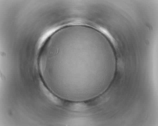 X0000091341464200708101435