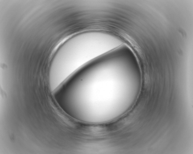 X0000091341465200708101435