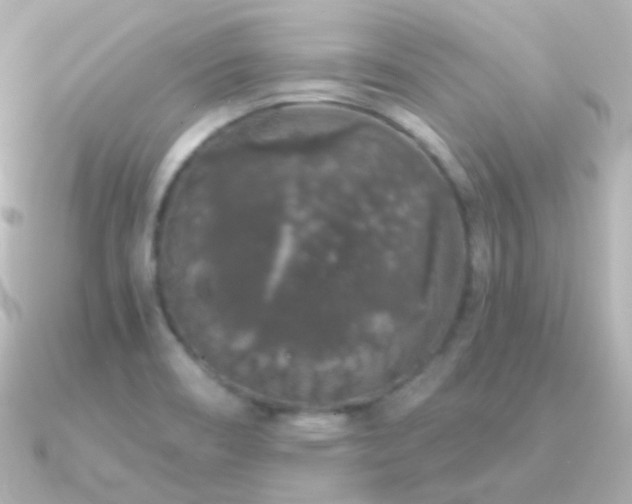 X0000091341466200708101435