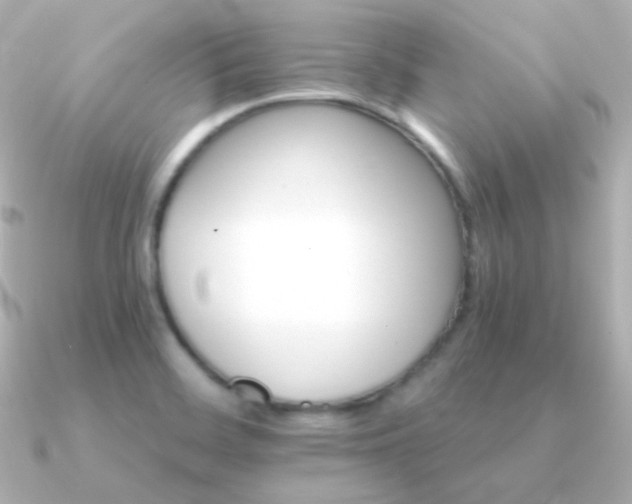 X0000091341468200708101435