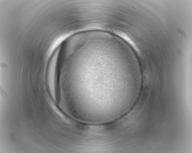 X0000091341469200708101435