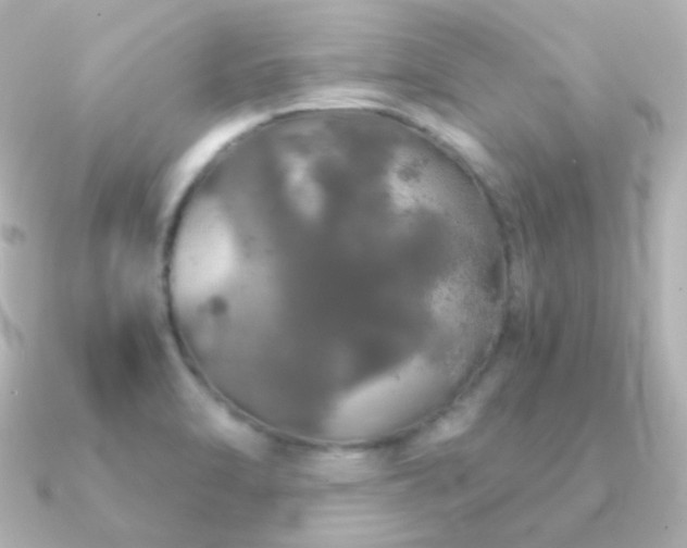 X0000091341470200708101435