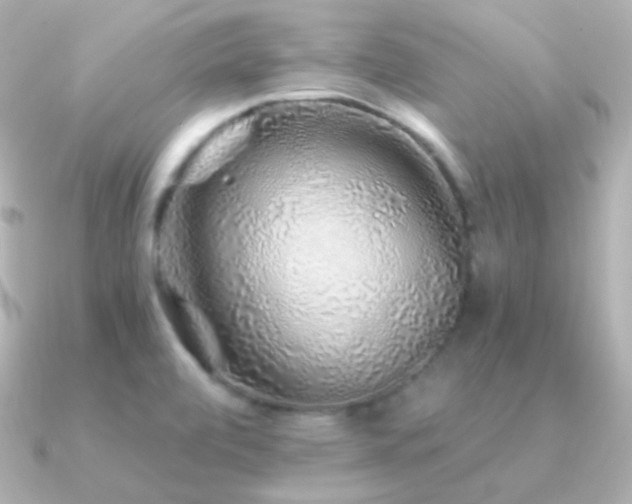 X0000091341472200708101435
