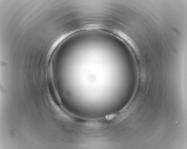 X0000091341473200708101435