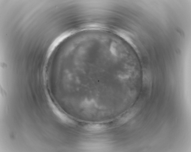 X0000091341474200708101435