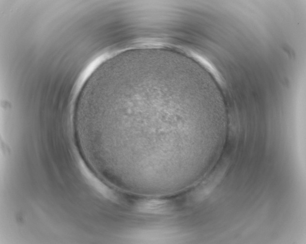 X0000091341475200708101435