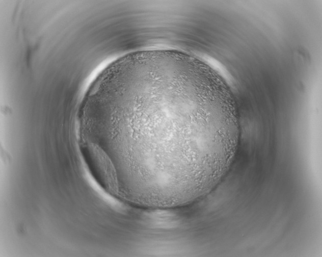 X0000091341476200708101435