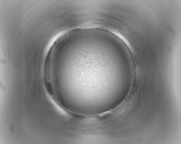 X0000091341477200708101435