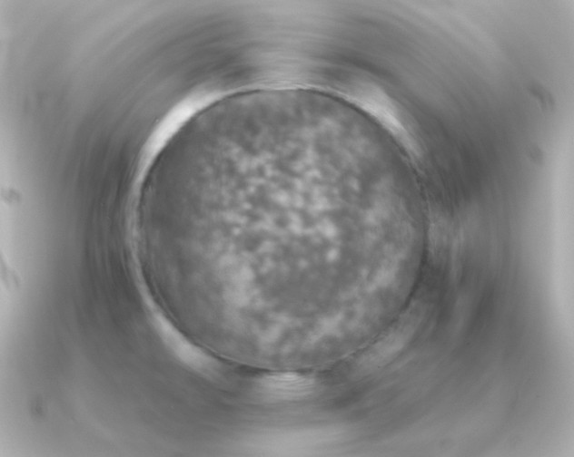 X0000091341478200708101435