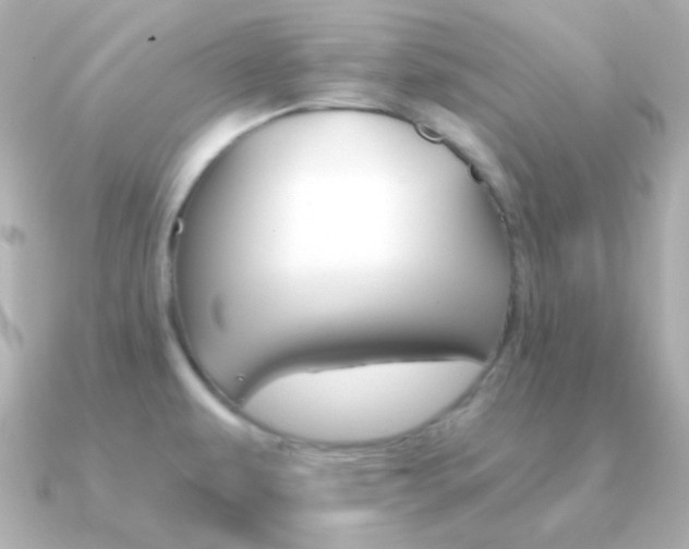 X0000091341479200708101435
