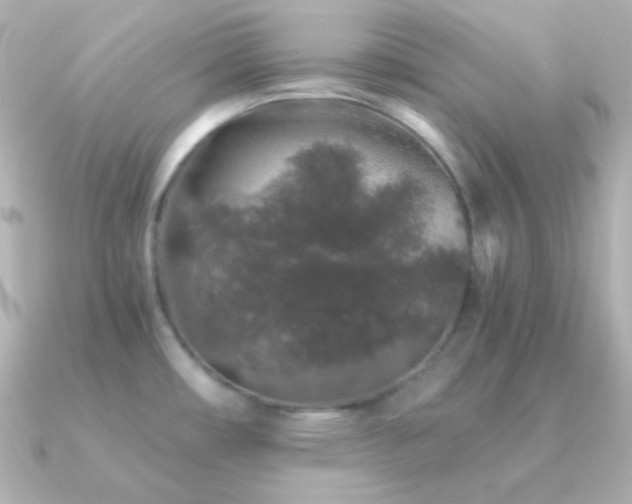 X0000091341482200708101435