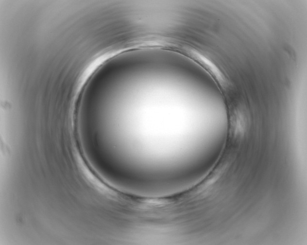 X0000091341483200708101435