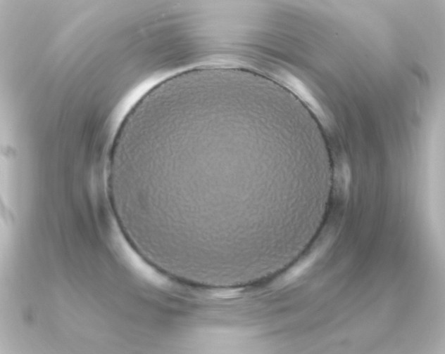 X0000091341484200708101435