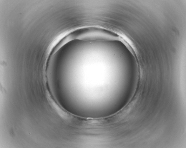 X0000091341485200708101435