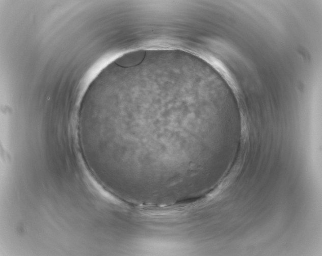 X0000091341486200708101435