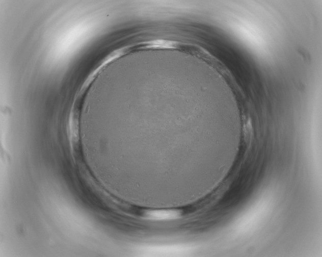 X0000091341487200708101435
