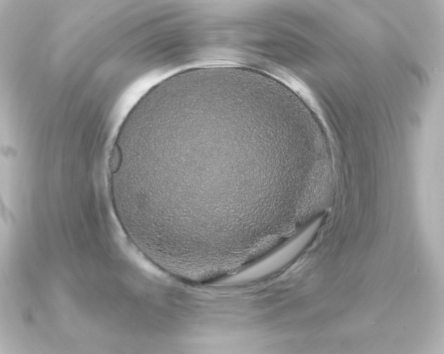 X0000091341488200708101435