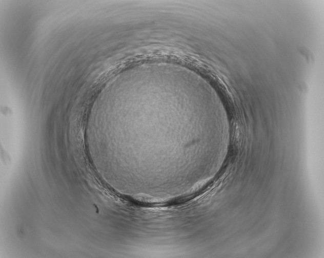 X0000091341489200708101434