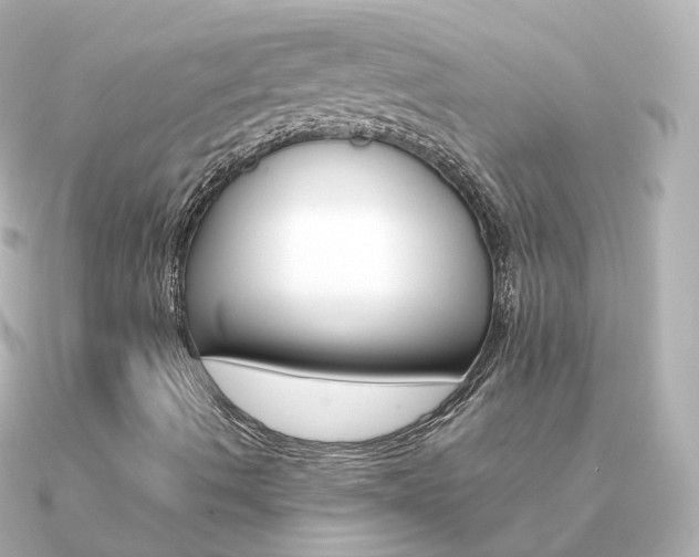 X0000091341490200708101434