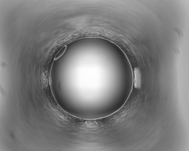X0000091341491200708101434