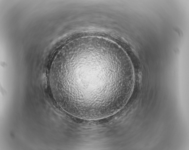 X0000091341493200708101434
