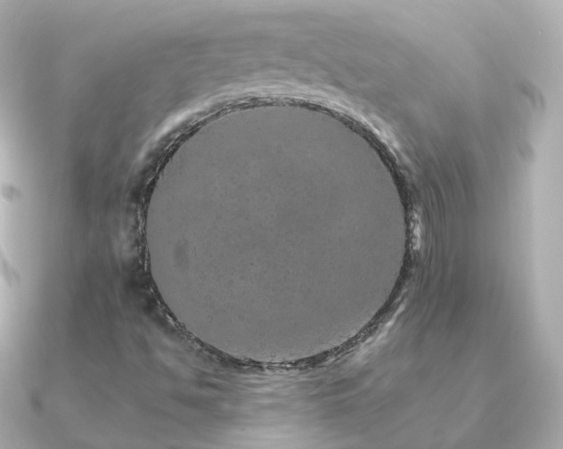 X0000091341494200708101434