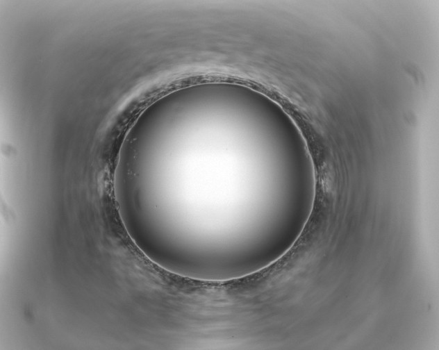 X0000091341495200708101434