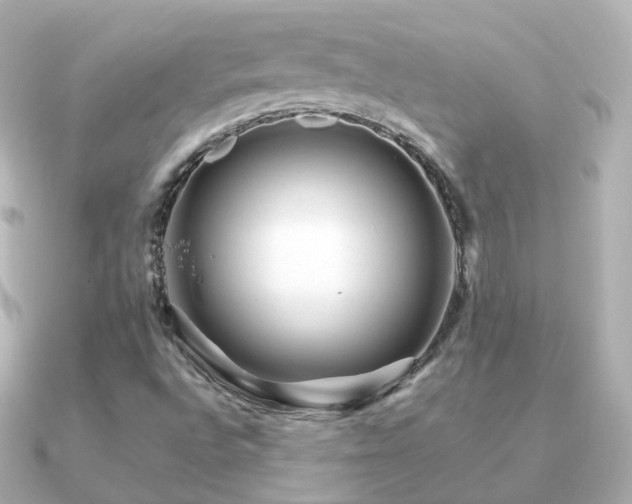 X0000091341496200708101434