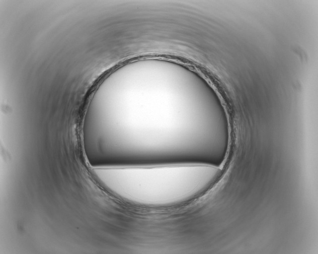 X0000091341497200708101434
