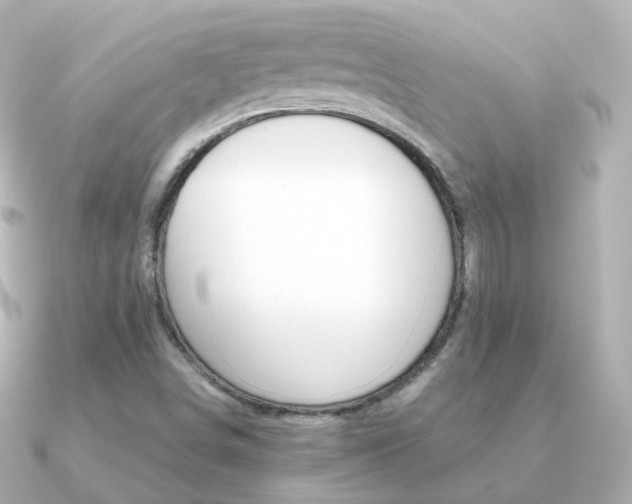X0000091341498200708101434