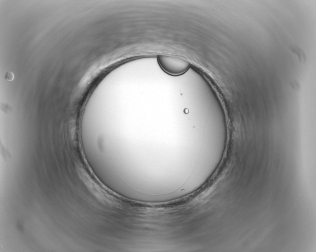 X0000091341499200708101434