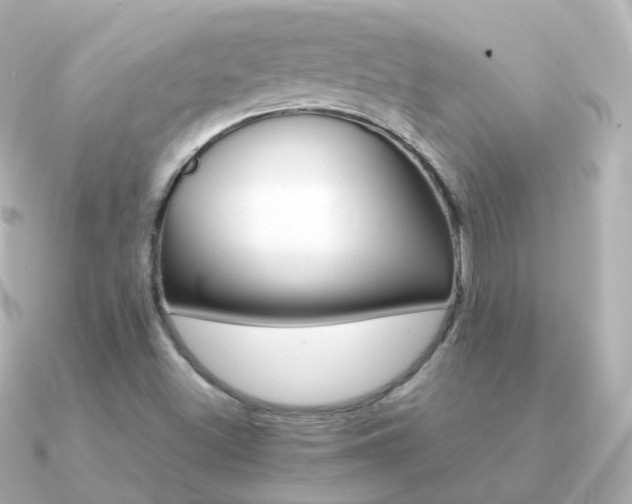 X0000091341500200708101434