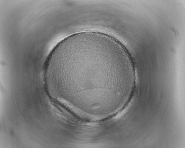 X0000091341501200708101434